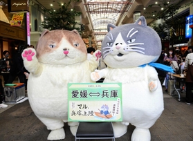 愛媛新聞のマル（左）から神戸新聞のマルへバトンが渡された引き継ぎ式＝松山市、大街道商店街