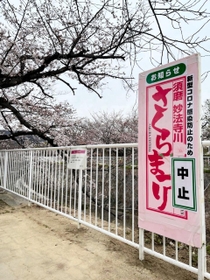 「さくらまつり」の中止を知らせる看板。昨年と同様、催しを取りやめるところもある＝神戸市須磨区
