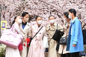 咲き誇る桜並木の下で、笑顔を浮かべる合格者＝３０日午前、宝塚市栄町１（撮影・斎藤雅志）