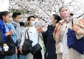 咲き誇る桜並木の下で、笑顔を浮かべる合格者＝３０日午前、宝塚市栄町１（撮影・斎藤雅志）