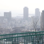 あたたかな陽気でかすむ神戸の街並み＝３日午前、神戸市中央区、諏訪山公園から（撮影・長嶺麻子）