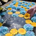 ウクライナに平和が訪れることを願い青と黄色の花が浮かべられた手水舎＝加西市尾崎町、多聞寺