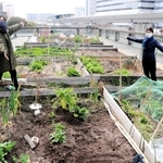 商業施設の屋上にある「シェラトンファーム」と、運営する（左から）江副真文さん、西橋悦さん＝神戸市東灘区向洋町中