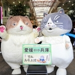 愛媛新聞のマル（左）から神戸新聞のマルへバトンが渡された引き継ぎ式＝松山市、大街道商店街