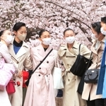 咲き誇る桜並木の下で、笑顔を浮かべる合格者＝３０日午前、宝塚市栄町１（撮影・斎藤雅志）