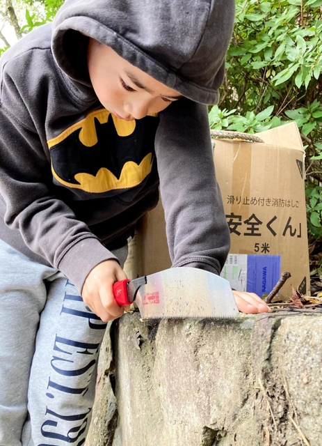 小さな木の枝をのこぎりで切ろうと挑戦！＝神戸市須磨区横尾６