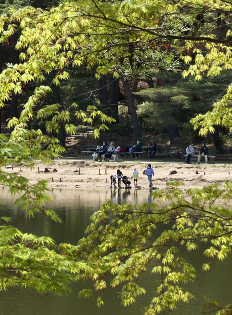 新緑に包まれた再度公園＝１７日午後、神戸市北区山田町下谷上