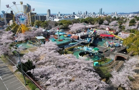 昭和レトロな遊園地を彩るソメイヨシノ＝１日午前、神戸市灘区王子町３（ドローンで撮影）