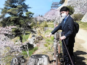 明石公園を視察し、伐採した樹木の状態を確認する兵庫県の斎藤元彦知事＝明石市明石公園