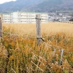 母親と生後１１カ月の幼子が殺害された事件の現場付近。住んでいた集合住宅は取り壊されていた＝山口県光市