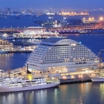 ５隻そろって停泊し、日没後には電飾で夜景を彩る練習船＝７日夜、神戸市中央区