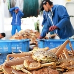 水揚げされ、船上に積み上げられたマツバガニ＝２０２１年１１月、兵庫県新温泉町の浜坂漁港沖