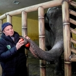 ３月３日、ウクライナ・キーウの動物園でゾウに餌を与えるスタッフ（ロイター＝共同）
