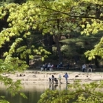 新緑に包まれた再度公園＝１７日午後、神戸市北区山田町下谷上