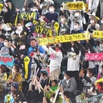 タオルや手製のボードなどを掲げてエールを送る阪神ファン＝甲子園球場（撮影・吉澤敬太）