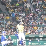 阪神の攻撃。打席に立つ選手にファンの熱い視線が注がれる＝甲子園球場（撮影・吉澤敬太）