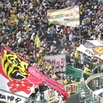 応援旗が振られ、盛り上がるライトスタンド＝甲子園球場（撮影・飯室逸平）