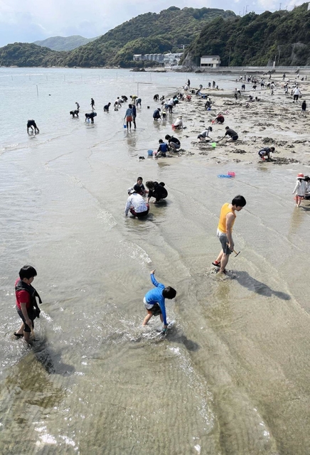 例年に比べ人出は少ない干潟で貝を探す親子連れら＝２日午後、たつの市御津町