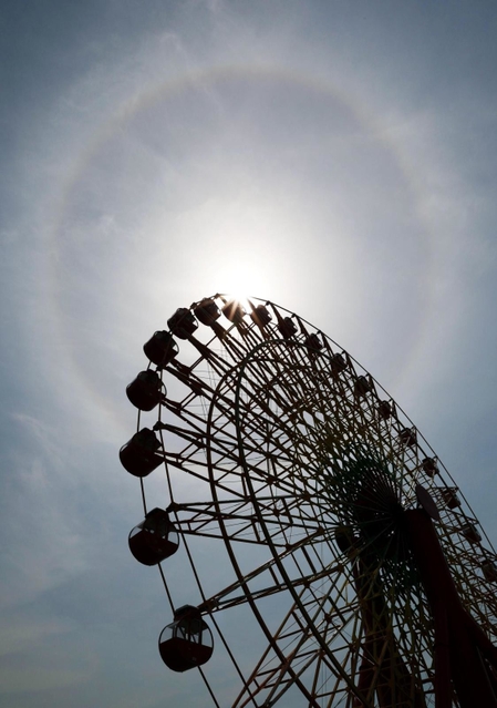 太陽の周りに現れた日暈＝１９日午前、神戸市中央区東川崎町１（撮影・小林良多）
