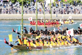 伝来１００年の節目のレースで力強くペーロンをこぐ参加者＝２９日午後、相生湾（撮影・大山伸一郎）