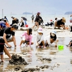 潮が引いた干潟でアサリなどを探す親子連れ＝たつの市御津町黒崎