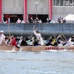 ペーロン伝来１００年の節目に新調され、こぎ手の力で進む新艇の「海龍」＝５日午前、相生湾（撮影・大山伸一郎）