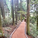野外ステージへのアプローチのため森の中に設けられた通路。両側には線路で使われていた枕木が再利用されている＝神戸市灘区六甲山町