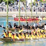伝来１００年の節目のレースで力強くペーロンをこぐ参加者＝２９日午後、相生湾（撮影・大山伸一郎）