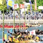 力と息を合わせて進むペーロン＝２９日午後、相生湾（撮影・大山伸一郎）