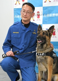 甘えるエルフ号をかわいがる横野雅彦警部補＝兵庫県警本部
