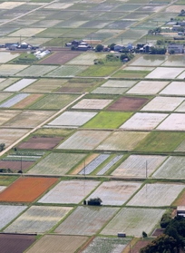 眼下に絶景。田畑の姿は日を追って変化する＝兵庫県丹波市春日町黒井、黒井城跡から
