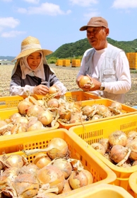 畑を背にタマネギの育ち具合を確かめる北川忠彦さん（右）と妻の由美子さん＝南あわじ市賀集福井