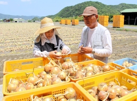畑を背にタマネギの育ち具合を確かめる北川忠彦さん（右）と妻の由美子さん＝南あわじ市賀集福井