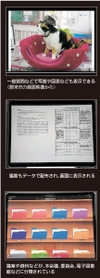 神戸新聞ＮＥＸＴ