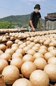 青空の下で乾燥が進む花火玉＝兵庫県太子町上太田