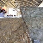 地震の破壊力が分かる野島断層。知らない世代に恐ろしさを伝える＝２日午後、淡路市小倉、北淡震災記念公園（撮影・吉田敦史）