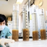 エアレーションタンクから採取した水で微生物の沈殿具合を調べる増田晴樹さん＝明石市大久保町八木、市立大久保浄化センター