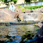 浄化センター敷地内の「せせらぎ公園」。処理された水が放流されている＝明石市大久保町八木、市立大久保浄化センター