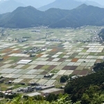 眼下に絶景。田畑の姿は日を追って変化する＝兵庫県丹波市春日町黒井、黒井城跡から