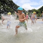 勢いよく海へ飛び込む園児たち＝８日午前、兵庫県新温泉町諸寄