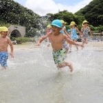 勢いよく海へ飛び込む園児たち＝８日午前、兵庫県新温泉町諸寄