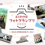 王子動物園フォトグランプリ２０２２のＰＲ画像