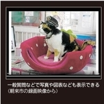 神戸新聞ＮＥＸＴ