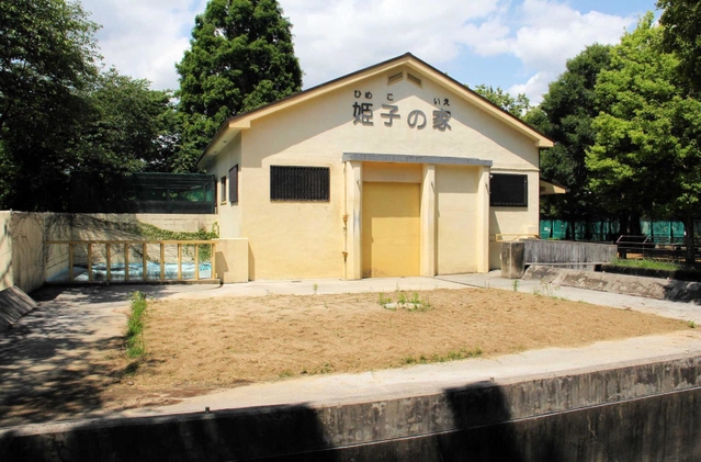 姫子が暮らしたゾウ舎。後継がやって来る可能性は低い＝姫路市本町