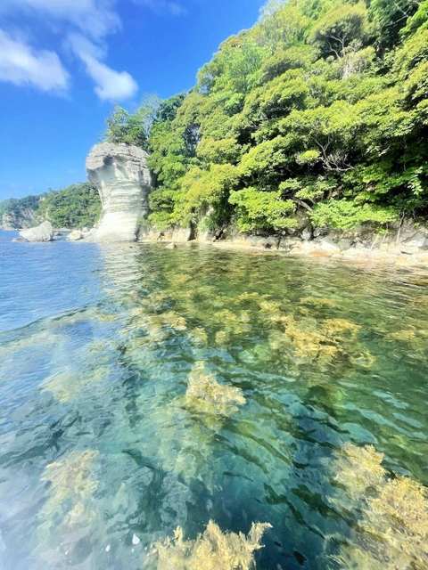 透き通る海の青＝柴山湾（「お宿　まる屋」提供）