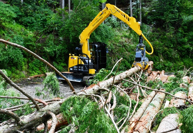 木の枝打ちなどができるハーベスター＝兵庫県多可町加美区丹治