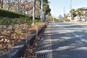 殺害現場となった思い出の公園近くの市道＝神戸市西区糀台２