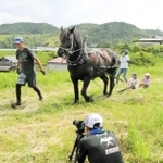 馬がそりを引く「ホースボード」の動画を撮影する山下勉さん（左）ら＝洲本市五色町都志大日