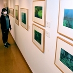 広く知られた作品の背景画などが並ぶ「アニメーション美術の創造者　新・山本二三展」＝あさご芸術の森美術館