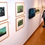 広く知られた作品の背景画などが並ぶ「アニメーション美術の創造者　新・山本二三展」＝あさご芸術の森美術館